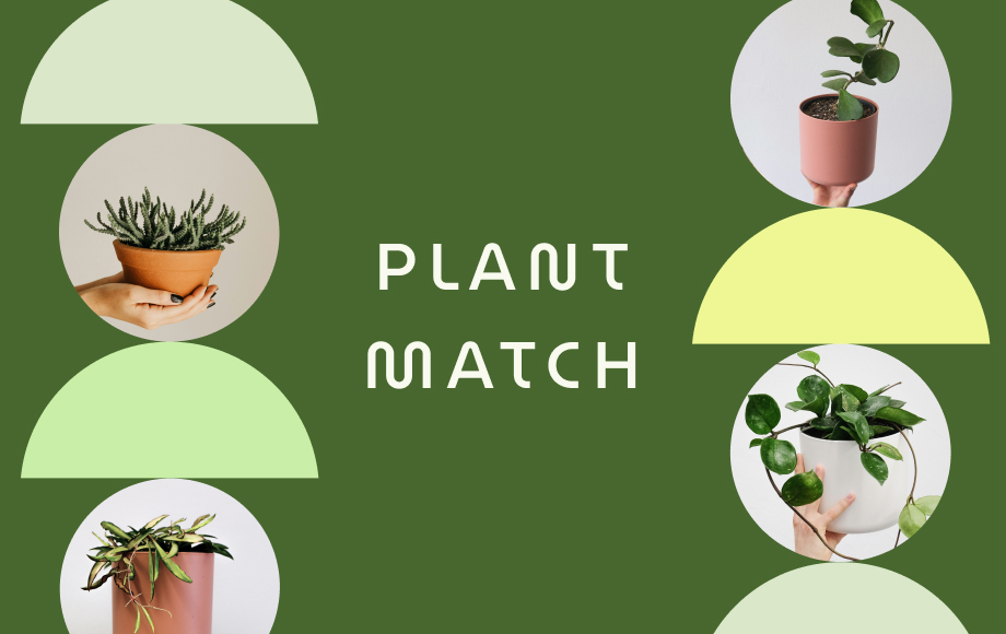 Plant Match App
