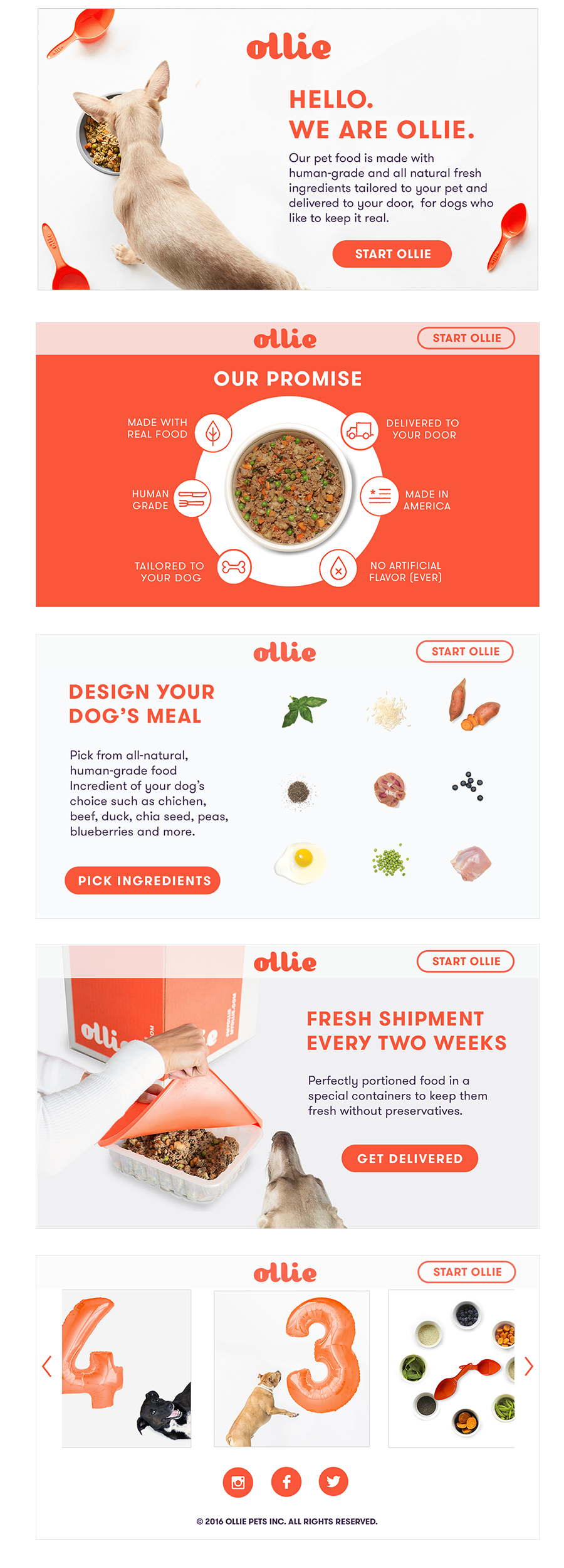 Ollie Petfood ollie-petfood